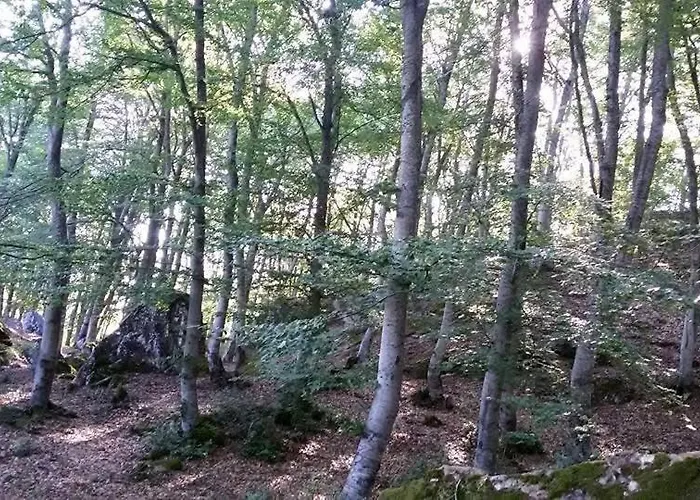 Frühstückspension Bujtina Bashllari *