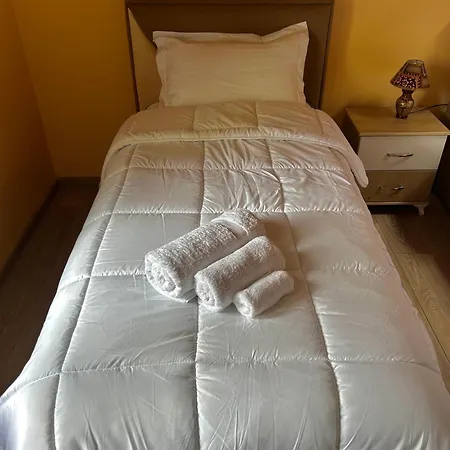 Bujtina Bashllari *