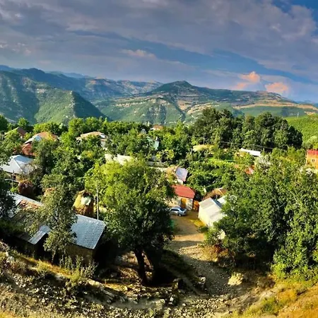 Bujtina Bashllari * Zvarisht