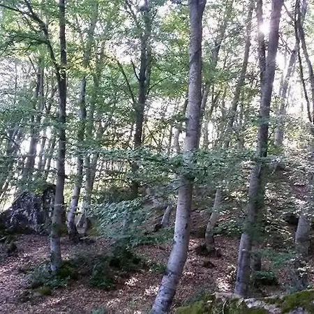 住宿加早餐酒店 Bujtina Bashllari *